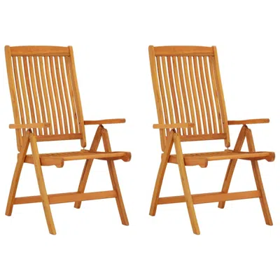 Vidaxl Folding Patio Chairs 2 Pcs Solid Wood Eucalyptus In Brown