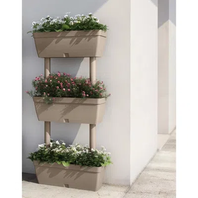 Vidaxl Garden Planter 3 Pcs 39.4" Taupe In Neutral