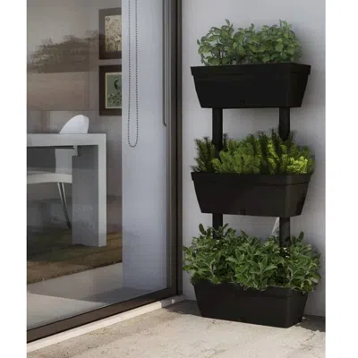 Vidaxl Garden Planter 6 Pcs 39.4" Anthracite In Brown