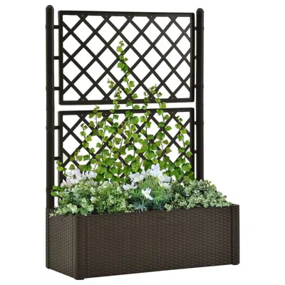 Vidaxl Garden Raised Bed With Trellis And Self Watering System Mocha In Brown