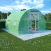 Vidaxl Greenhouse 64.6 Ftâ² 9.8'x6.6'x6.6', 48158
