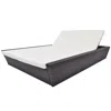 Vidaxl Outdoor Lounge Bed With Cushion Poly Rattan Brown, 42902