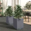 Vidaxl Planters 2 Pcs Dark Gray 11.8"x11.8"x14.6" Polypropylene