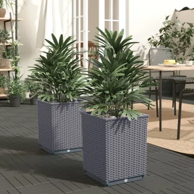 Vidaxl Planters 2 Pcs Dark Gray 11.8"x11.8"x14.6" Polypropylene