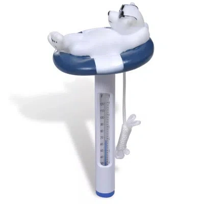 Vidaxl Pool Clean Xxl Set