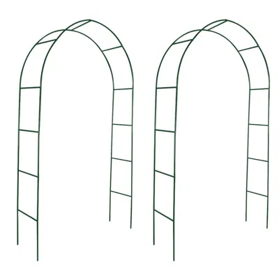 Vidaxl Xidaxl Garden Arch 2 Pcs Climbing Plants, 40776 In Black
