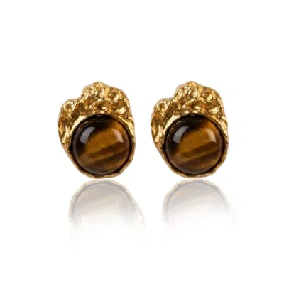 Viea Women's Brown / Gold Tazi Molten Earrings In Multi