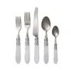 Vietri Aladdin Brilliant 5-piece Place Setting In Clear/stainless Steel