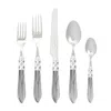 Vietri Aladdin Brilliant Five-piece Place Setting In Grey