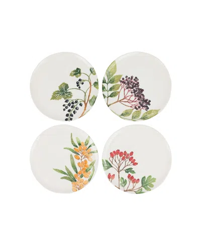 Vietri Foresta Primavera Assorted Salad Plates, Set Of 4 In Multi