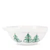Vietri Lastra Holiday Large Mixing Bowl In White