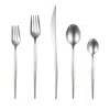 Vietri Natura 5 Piece Place Setting In Silver