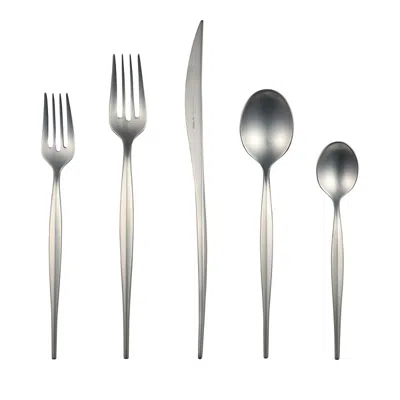 VIETRI NATURA SATIN FINISH 5 PIECE PLACE SETTING