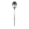 Vietri Natura Satin Place Spoon In Silver
