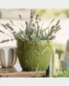 Vietri Viva Garden Embossed Leaves Cachepot In Green