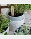 Vietri Viva Garden Embossed Leaves Cachepot In White