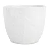 Vietri Viva Garden Embossed Leaves Cachepot In White
