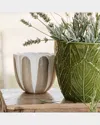 Vietri Viva Garden Tulip Small Cachepot In Tan