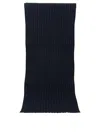 Vietti Merchandise Cashmere Scarf In Blue