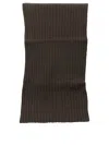 Vietti Merchandise Cashmere Scarf In Brown