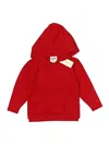 Vignette Pullover Hoodie In Red