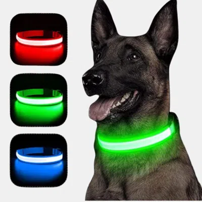 Vigor Reflective Led Light Puppy Collar Rechargeable Waterproof Glow In The Dark Dog Collars In Blue