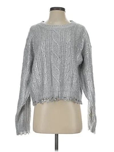 Vigoss Pullover Sweater In Silver