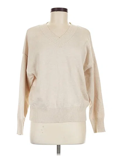 Vigoss Pullover Sweater In Tan