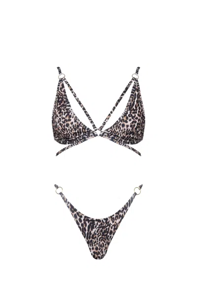 Viki Swim Women's Brown Dulce Bikini Thong In Leopard