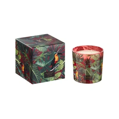 Vila Hermanos Candle In Jar Jungletropia 650gr 12x12 Wild Musk 4.92 Diam. X 4.92 In In White