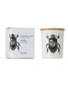 Vila Hermanos Insect Candle In Jar 2.65 Ounce