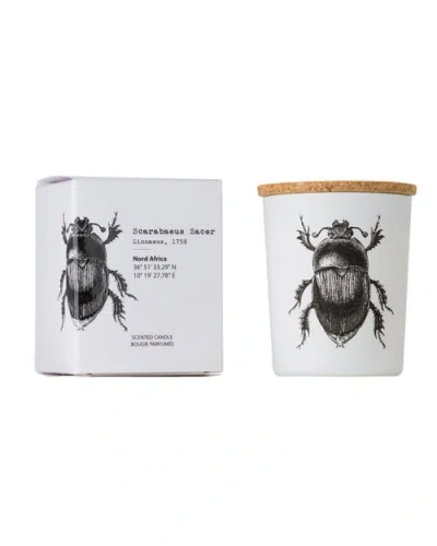 Vila Hermanos Insect Candle In Jar 2.65 Ounce
