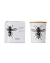 Vila Hermanos Insect Candle In Jar 2.65 Ounce