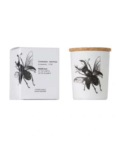 Vila Hermanos Insect Candle In Jar 2.65 Ounce