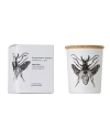 Vila Hermanos Insect Candle In Jar 2.65 Ounce