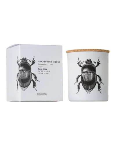 Vila Hermanos Vila Insect Candle In Jar 6.7 Ounce