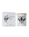Vila Hermanos Vila Insect Candle In Jar 6.7 Ounce