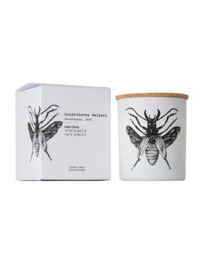 Vila Hermanos Vila Insect Candle In Jar 6.7 Ounce