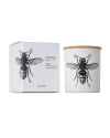 Vila Hermanos Vila Insect Candle In Jar 6.7 Ounce