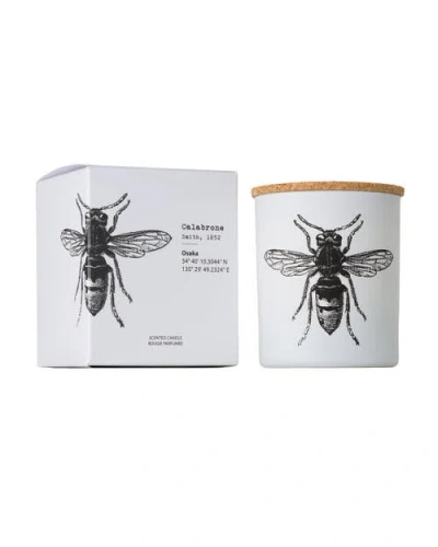 Vila Hermanos Vila Insect Candle In Jar 6.7 Ounce