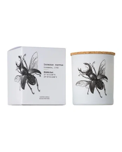 Vila Hermanos Vila Insect Candle In Jar 6.7 Ounce