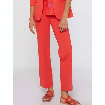 Vilagallo Carla Pant In Coral In Pink