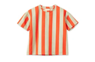 Vild House Of Little Kids'  In Orange/green