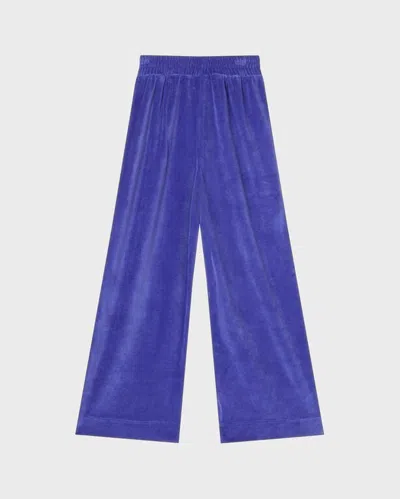 Vilebrequin Kids Jogger Velvet Pants Embroidered Turtle In Blau