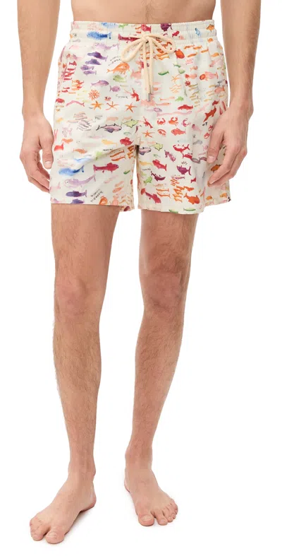 Vilebrequin X Fabrice Hyber Pescador 5.9 Watercolor Fish Swim Shorts In Multi
