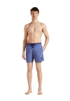 Vilebrequin Logo-embroidered Swim Shorts In Tempête