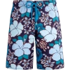 Vilebrequin Swimming Trunk In Blue