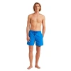 Vilebrequin Vendôme Turtles Swim Trunks In Palace