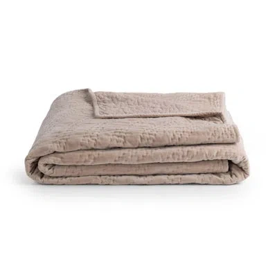 Villa By Classic Home Elms Velvet Cotton Blend Quilt In Beige