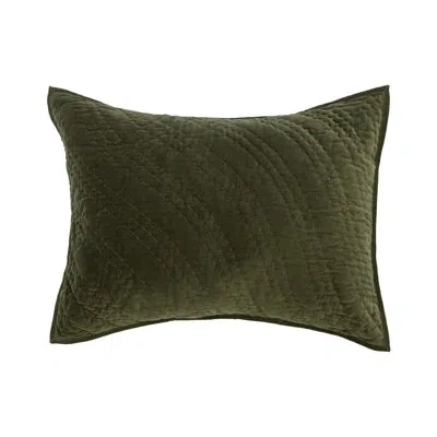 Villa By Classic Home Elms Velvet Cotton Blend Sham In Green